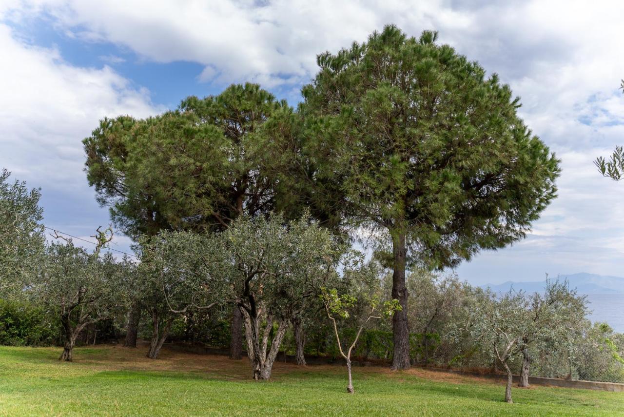 PalaiónTsiflíkion Villa Elia Kavala - Mediterranean Holiday Villa מראה חיצוני תמונה