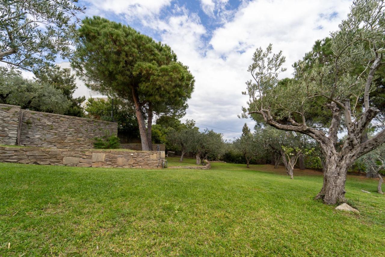 PalaiónTsiflíkion Villa Elia Kavala - Mediterranean Holiday Villa מראה חיצוני תמונה