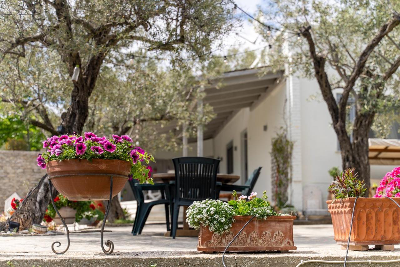 PalaiónTsiflíkion Villa Elia Kavala - Mediterranean Holiday Villa מראה חיצוני תמונה