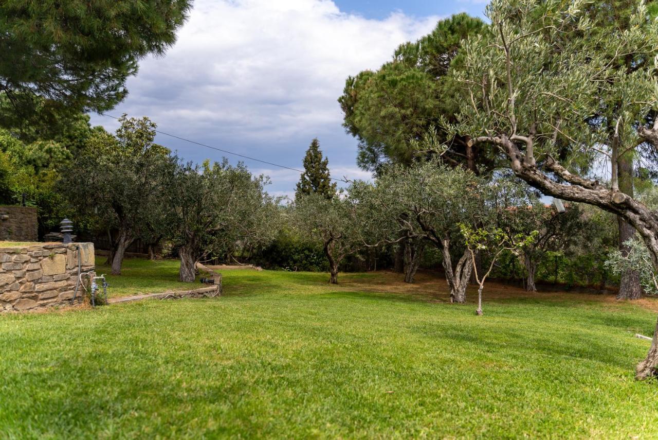 PalaiónTsiflíkion Villa Elia Kavala - Mediterranean Holiday Villa מראה חיצוני תמונה